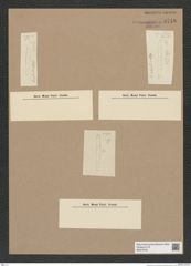 Diatomeae indet. Zeichnungen Sammlung Grunow Nr. 9748 (NHMW-BOT-W0379732)